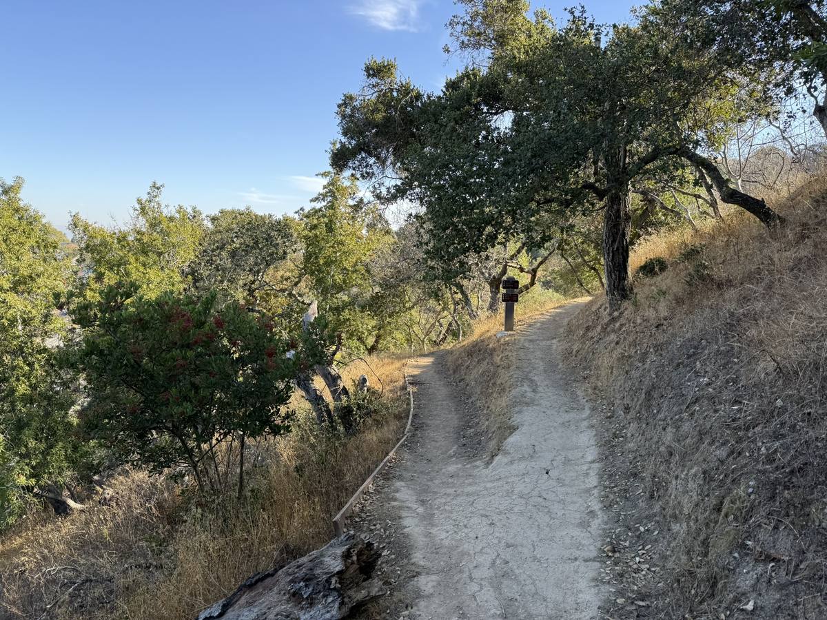Hiking trail through Eaton Park near Alder Manor, San Carlos