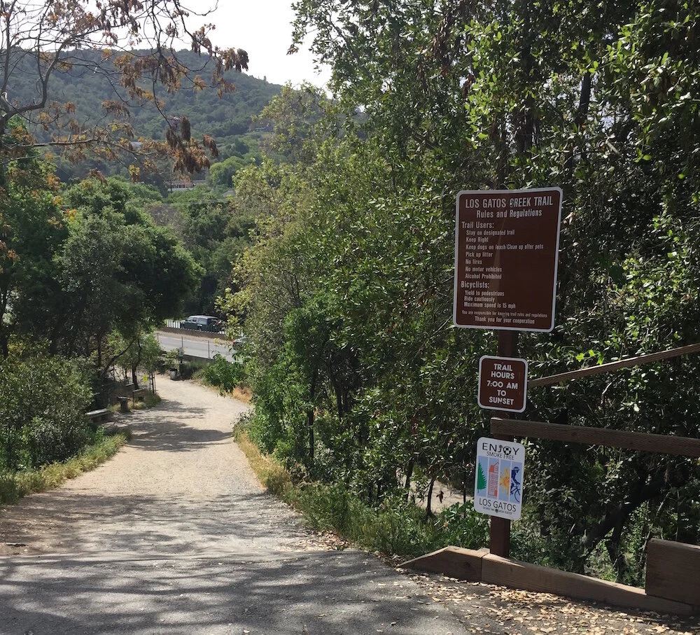 Tree-lined street with historic homes near Bachman Park in Almond Grove, Los Gatos