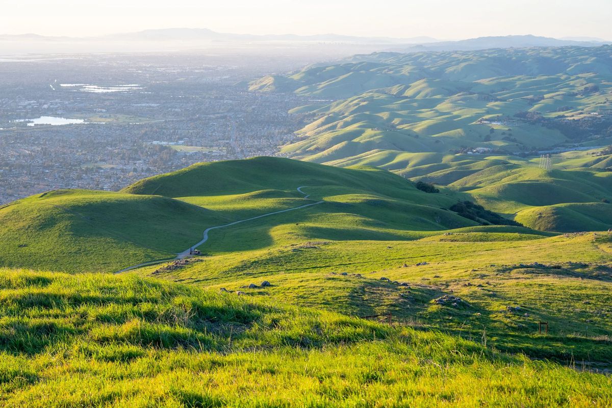 Hiking trail through golden grassland hills near Portola Valley