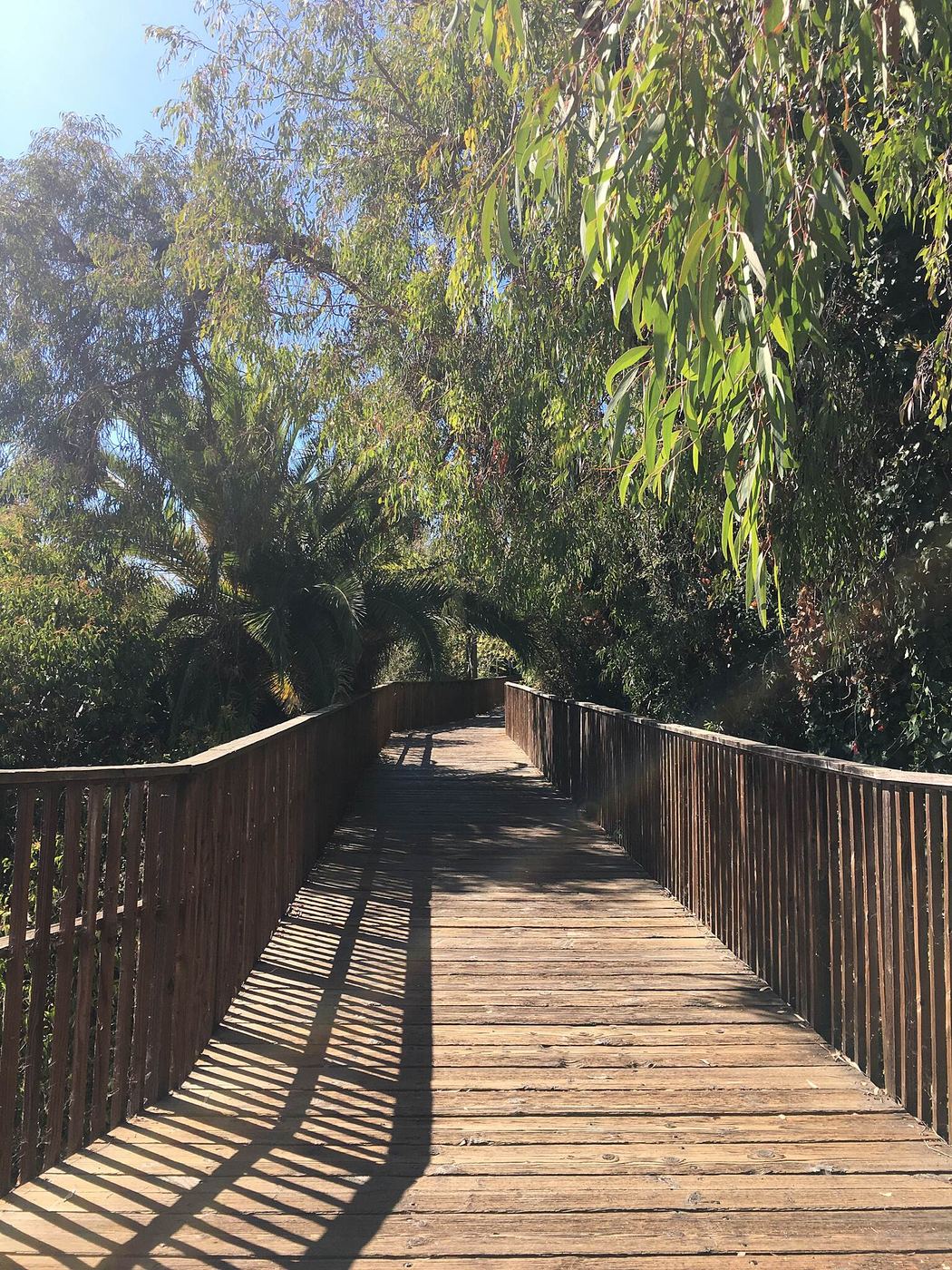 Hillside view from a Belwood Los Gatos neighborhood street