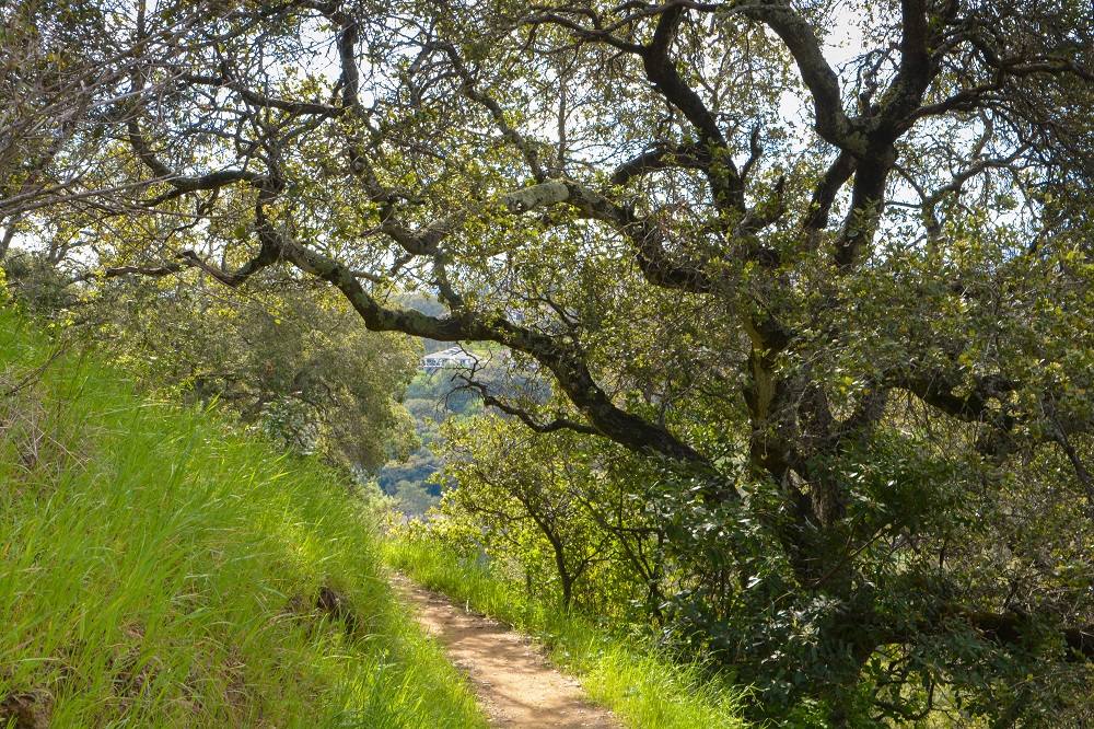 Open-space trail near Beverly Terrace with views over San Carlos