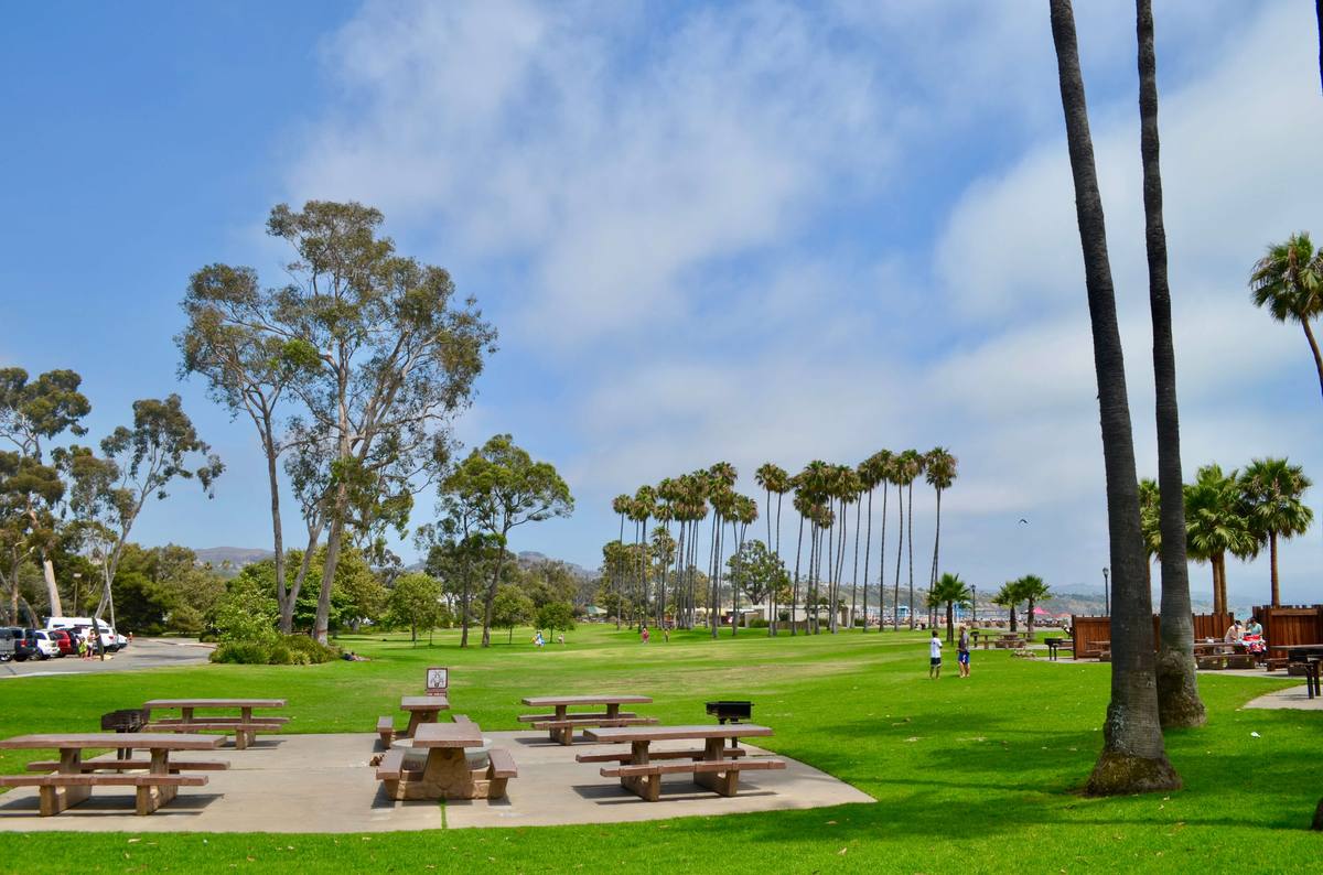 Community park with picnic areas and mature trees in Sunnyvale