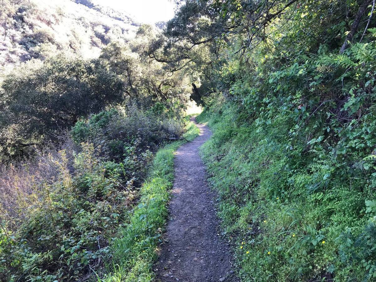 Trail in Cupertino, California