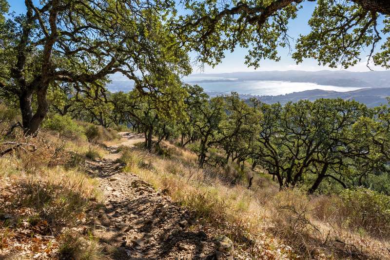 Walking trail near Los Altos Hills open space
