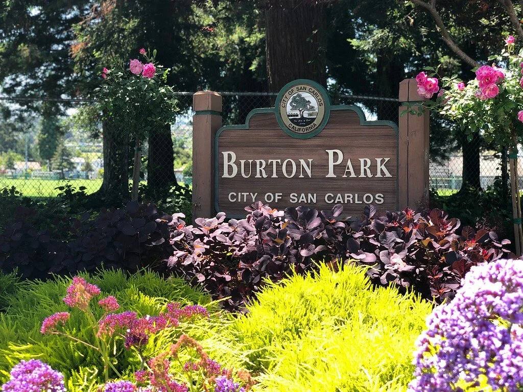 Burton Park in the heart of Howard Park, San Carlos, with lawns and mature trees