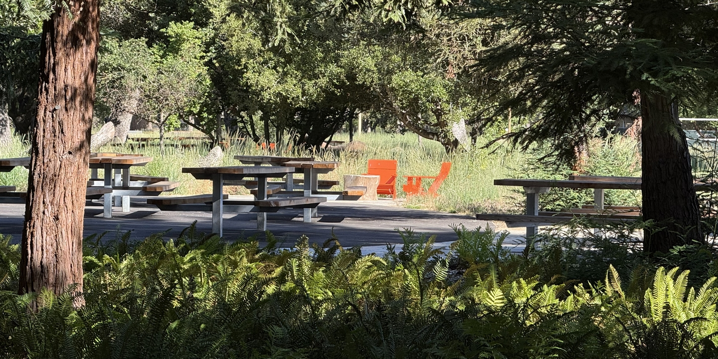 Flood Park in Menlo Park