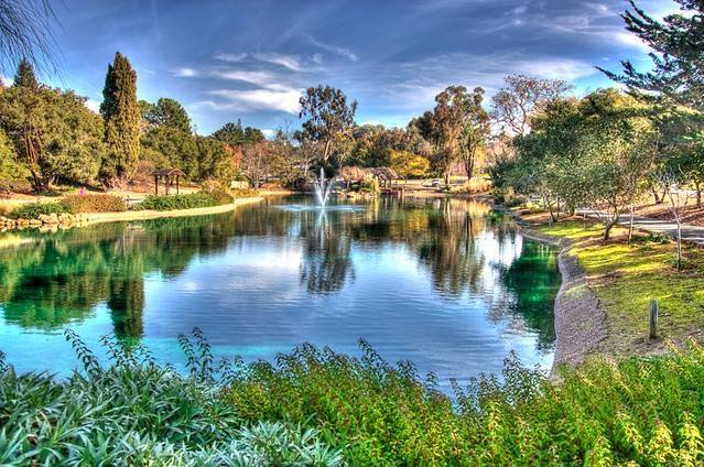 Sharon Park lake and gardens in Sharon Heights, Menlo Park, California