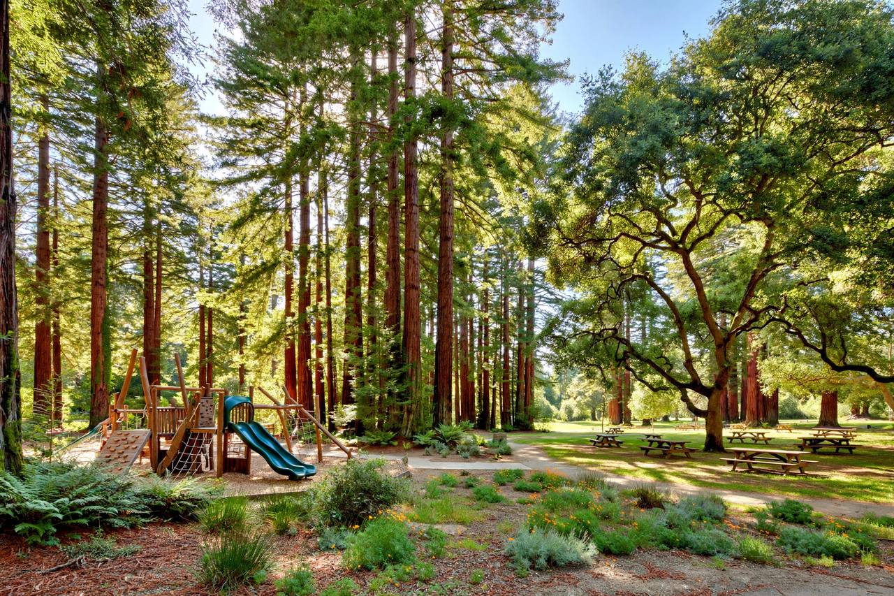 Mitchell Park near Midtown, Palo Alto