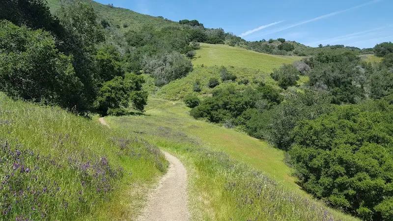 Open space preserve trail in California foothills