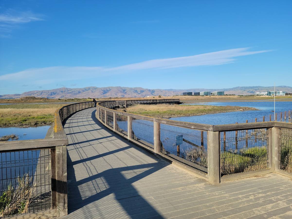 Baylands marsh trail with bay views near Sunnyvale