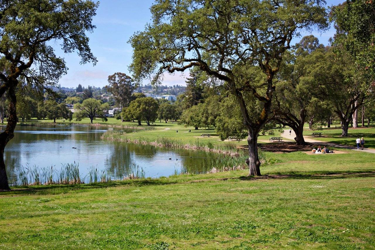 Central Park lake and lawns, Santa Clara