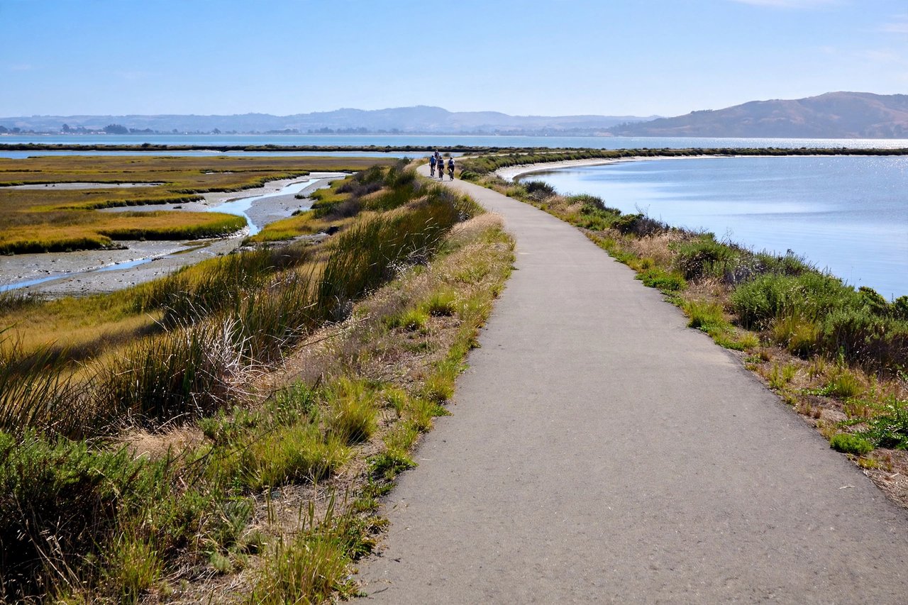 Baylands trail with cyclists and bay views, Palo Alto California