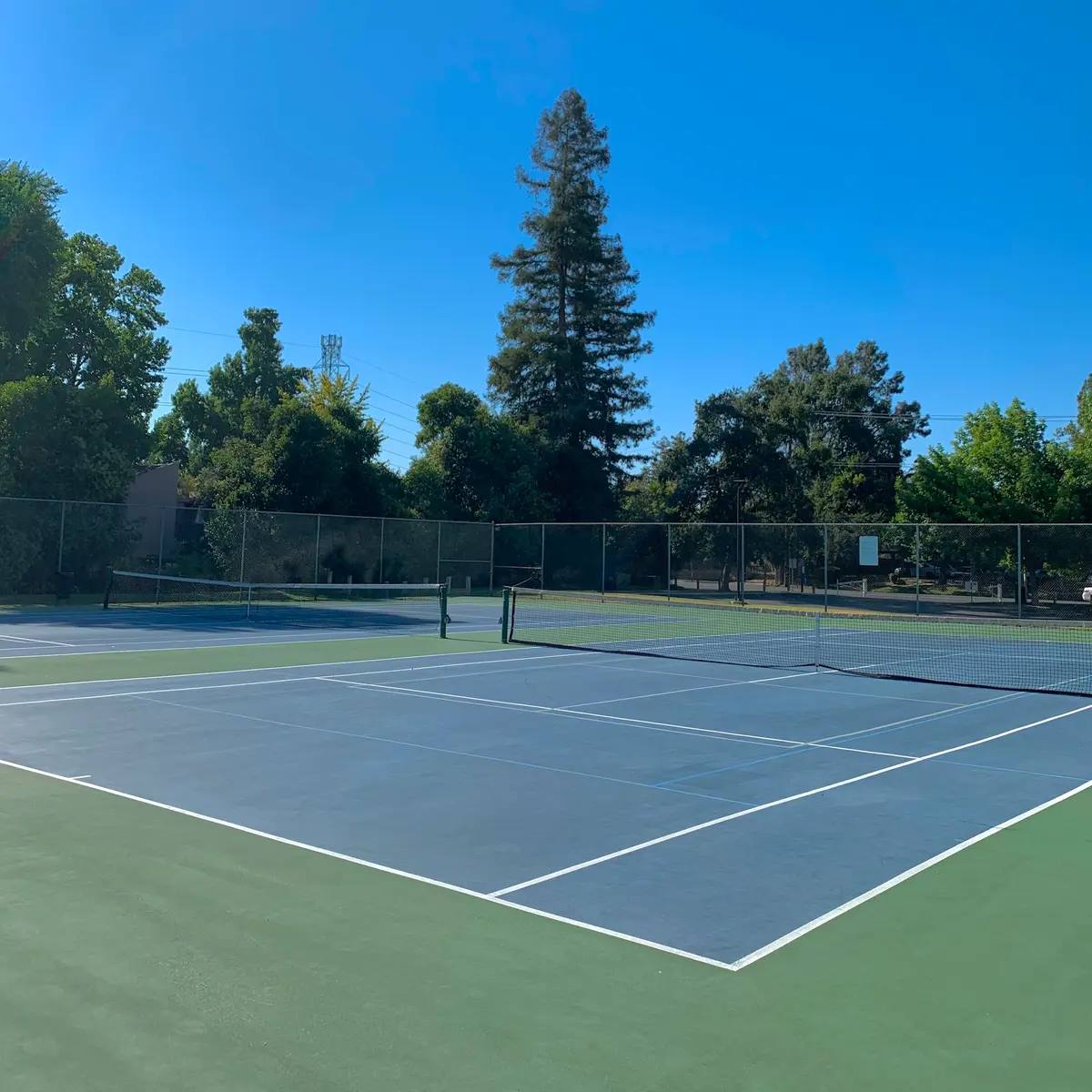 Park tennis courts under mature trees in Sunnyvale