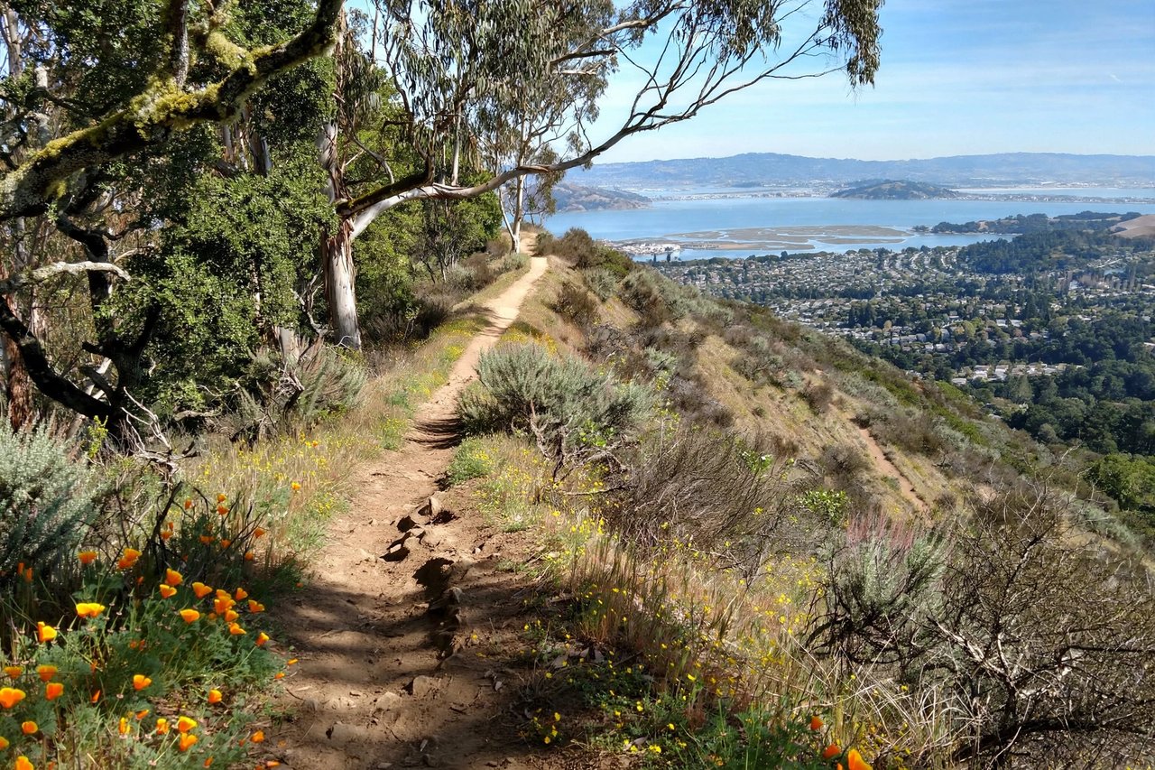 Pulgas Ridge hillside trail with bay views, San Carlos California