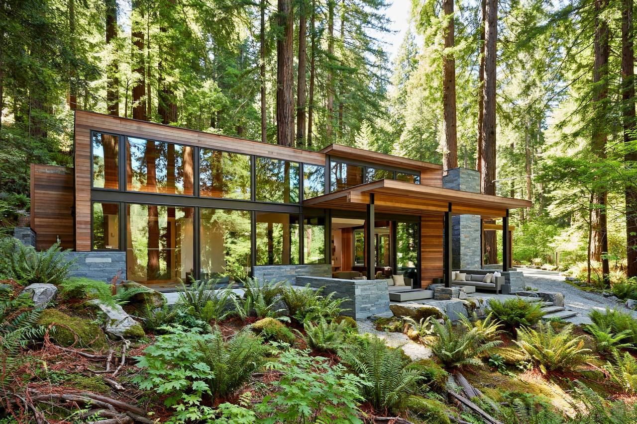 Forest home in Saratoga Woods