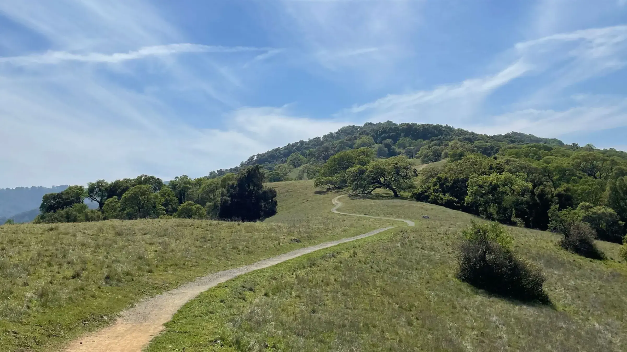 Open space hillside near West of Alameda