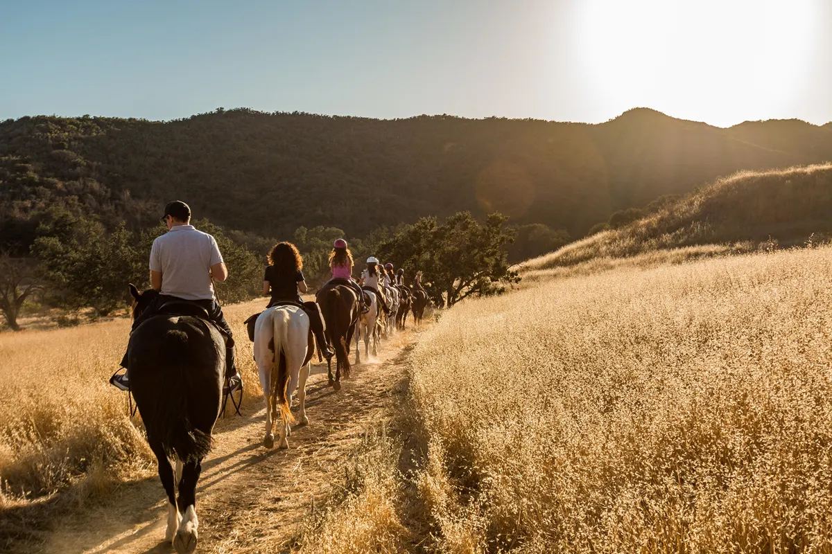 Horseback riding in Woodside, California